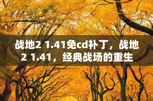 战地2 1.41免cd补丁，战地2 1.41，经典战场的重生