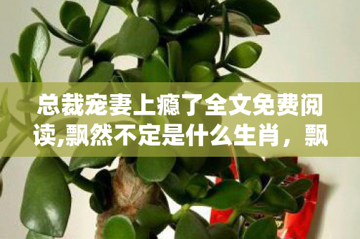 总裁宠妻上瘾了全文免费阅读,飘然不定是什么生肖，飘飘欲仙总裁的恩宠
