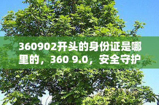 360902开头的身份证是哪里的，360 9.0，安全守护，智能升级