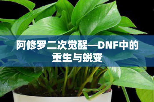 阿修罗二次觉醒—DNF中的重生与蜕变