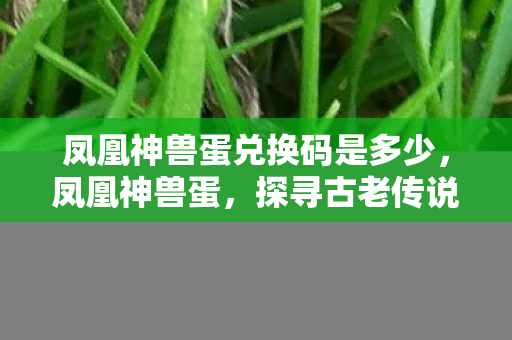 凤凰神兽蛋兑换码是多少，凤凰神兽蛋，探寻古老传说中的神秘宝藏