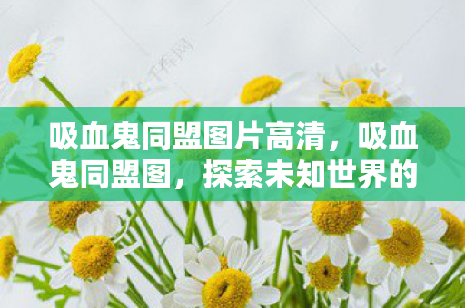 吸血鬼同盟图片高清，吸血鬼同盟图，探索未知世界的神秘之旅