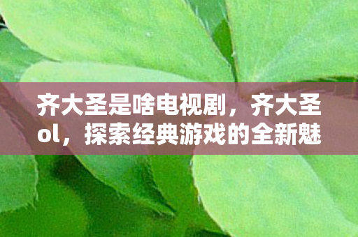 齐大圣是啥电视剧，齐大圣ol，探索经典游戏的全新魅力