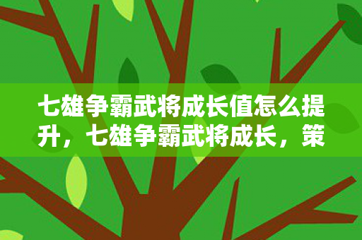 七雄争霸武将成长值怎么提升，七雄争霸武将成长，策略与智慧的双重磨砺