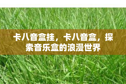 卡八音盒挂，卡八音盒，探索音乐盒的浪漫世界