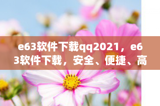 e63软件下载qq2021，e63软件下载，安全、便捷、高效的手机管理软件