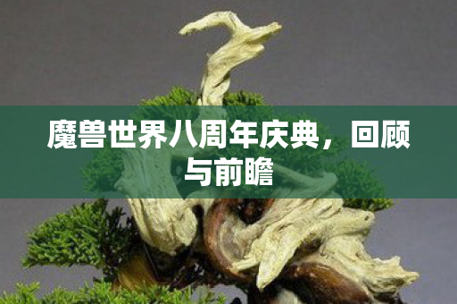 魔兽世界八周年庆典，回顾与前瞻