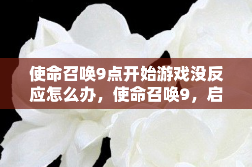 使命召唤9点开始游戏没反应怎么办，使命召唤9，启动无响应的困扰与解决之道