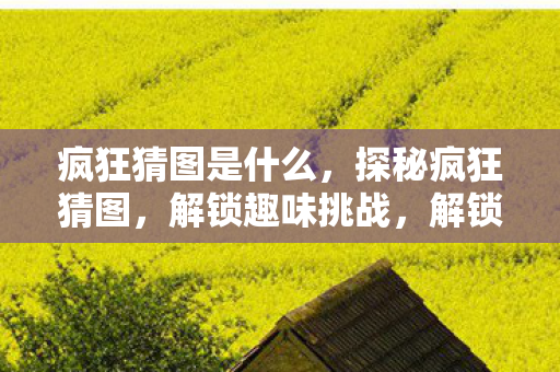 疯狂猜图是什么，探秘疯狂猜图，解锁趣味挑战，解锁思维新境界