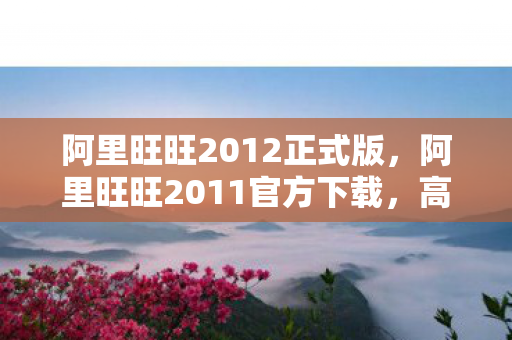 阿里旺旺2012正式版，阿里旺旺2011官方下载，高效沟通，助力电商发展