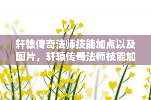 轩辕传奇法师技能加点以及图片，轩辕传奇法师技能加点攻略