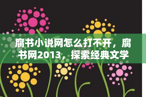 腐书小说网怎么打不开，腐书网2013，探索经典文学的新世界