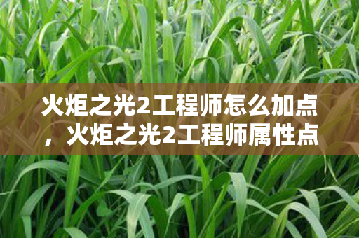 火炬之光2工程师怎么加点，火炬之光2工程师属性点分配策略