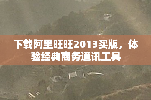 下载阿里旺旺2013买版，体验经典商务通讯工具