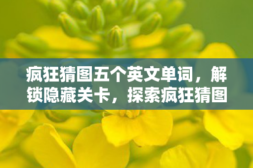 疯狂猜图五个英文单词，解锁隐藏关卡，探索疯狂猜图的无限可能