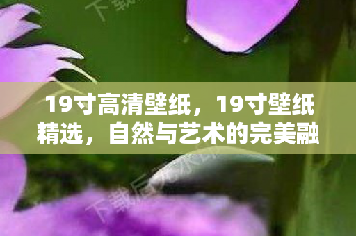 19寸高清壁纸，19寸壁纸精选，自然与艺术的完美融合