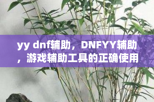 yy dnf辅助，DNFYY辅助，游戏辅助工具的正确使用与风险规避