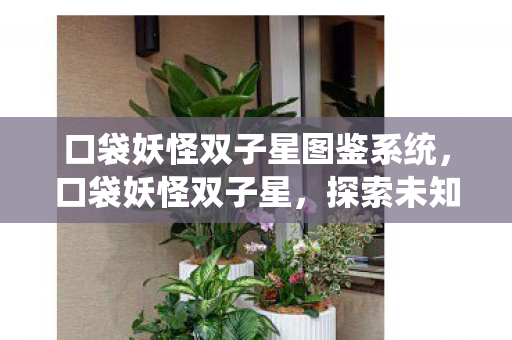 口袋妖怪双子星图鉴系统，口袋妖怪双子星，探索未知世界的奇妙旅程