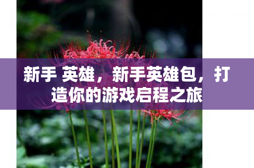 新手 英雄，新手英雄包，打造你的游戏启程之旅