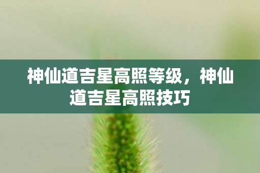 神仙道吉星高照等级，神仙道吉星高照技巧