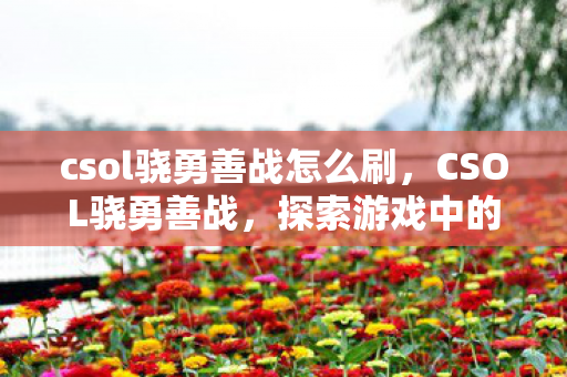 csol骁勇善战怎么刷，CSOL骁勇善战，探索游戏中的战术与策略