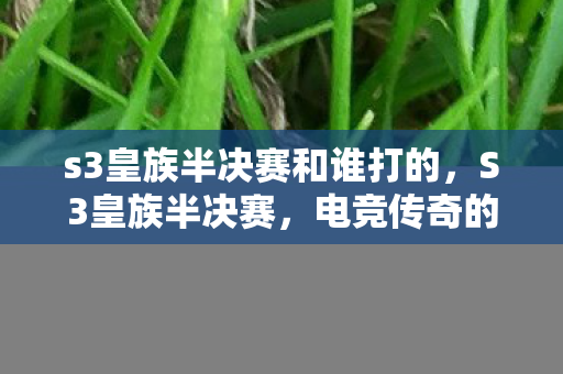 s3皇族半决赛和谁打的，S3皇族半决赛，电竞传奇的巅峰对决