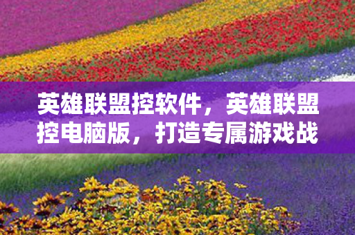 英雄联盟控软件，英雄联盟控电脑版，打造专属游戏战场