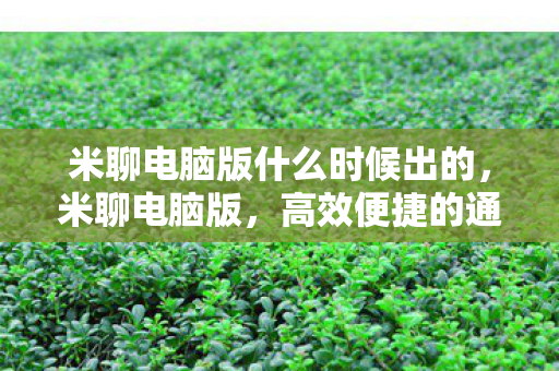 米聊电脑版什么时候出的，米聊电脑版，高效便捷的通讯新体验