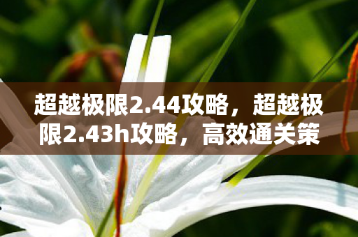超越极限2.44攻略，超越极限2.43h攻略，高效通关策略与技巧