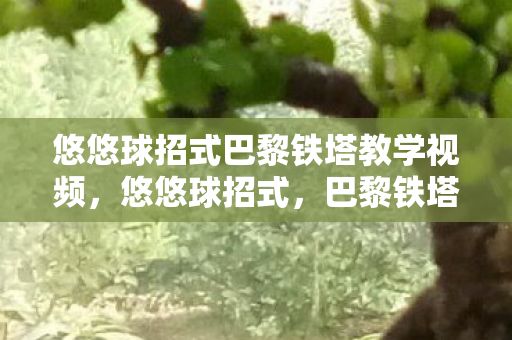 悠悠球招式巴黎铁塔教学视频，悠悠球招式，巴黎铁塔的炫彩魅力