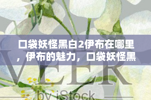 口袋妖怪黑白2伊布在哪里，伊布的魅力，口袋妖怪黑白2中的多面手