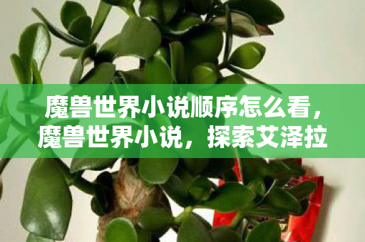 魔兽世界小说顺序怎么看，魔兽世界小说，探索艾泽拉斯的奇幻之旅