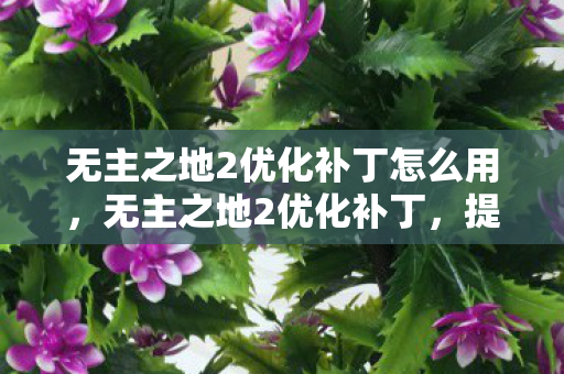 无主之地2优化补丁怎么用，无主之地2优化补丁，提升游戏体验的必备利器