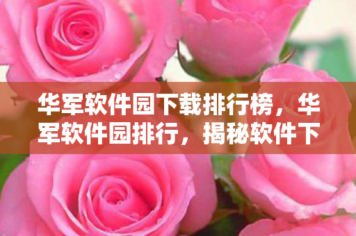华军软件园下载排行榜，华军软件园排行，揭秘软件下载背后的真相