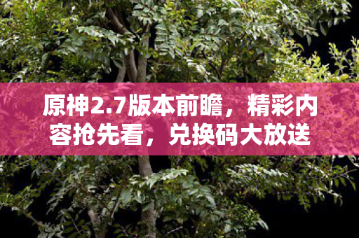 原神2.7版本前瞻，精彩内容抢先看，兑换码大放送