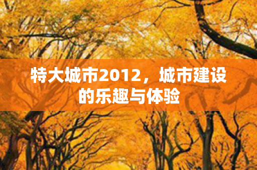 特大城市2012，城市建设的乐趣与体验