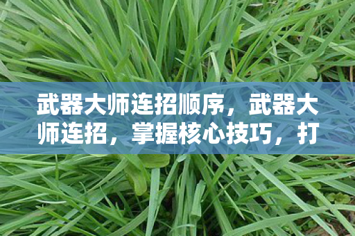 武器大师连招顺序，武器大师连招，掌握核心技巧，打造无敌战斗