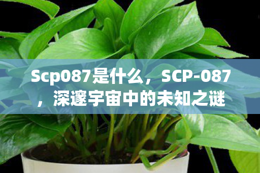 Scp087是什么，SCP-087，深邃宇宙中的未知之谜