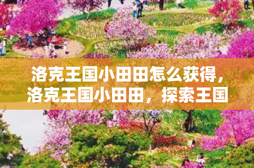 洛克王国小田田怎么获得，洛克王国小田田，探索王国中的奇妙冒险