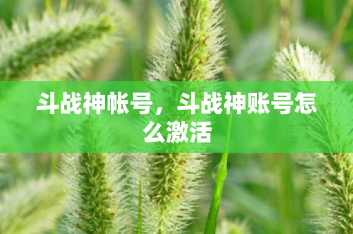 斗战神帐号，斗战神账号怎么激活