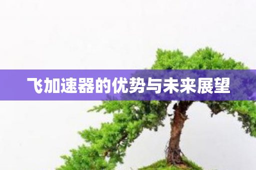 飞加速器的优势与未来展望