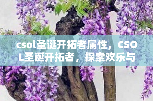 csol圣诞开拓者属性，CSOL圣诞开拓者，探索欢乐与惊喜的年度盛宴