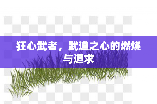 狂心武者，武道之心的燃烧与追求