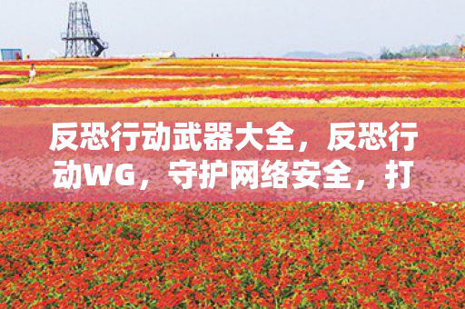 反恐行动武器大全，反恐行动WG，守护网络安全，打击非法行为