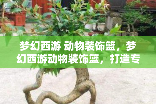 梦幻西游 动物装饰篮，梦幻西游动物装饰篮，打造专属的宠物乐园