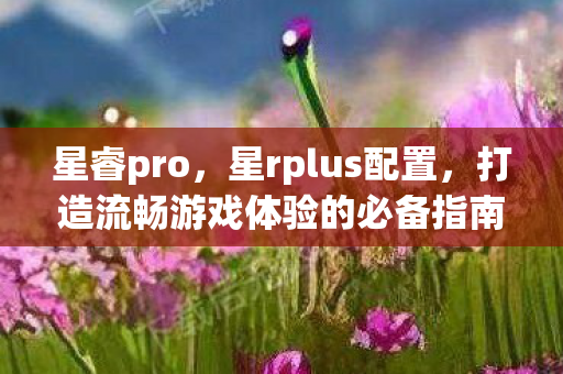 星睿pro，星rplus配置，打造流畅游戏体验的必备指南