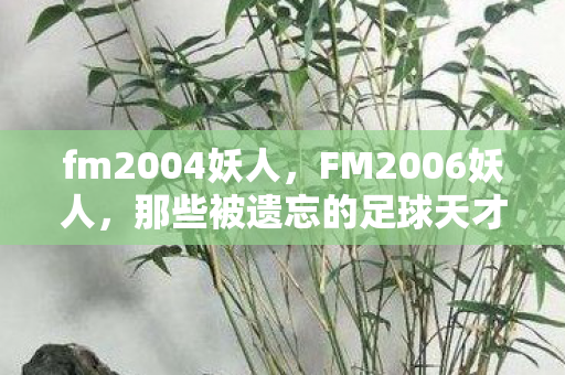 fm2004妖人，FM2006妖人，那些被遗忘的足球天才