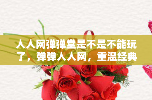 人人网弹弹堂是不是不能玩了，弹弹人人网，重温经典，再续前缘