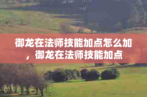御龙在法师技能加点怎么加，御龙在法师技能加点