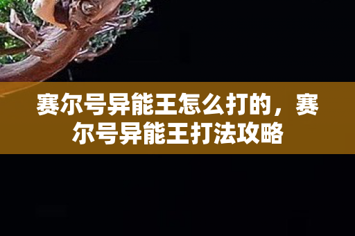 赛尔号异能王怎么打的，赛尔号异能王打法攻略